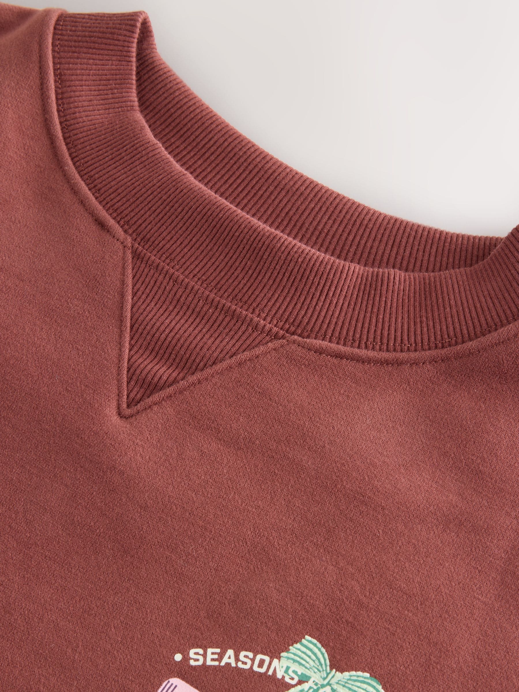 Buy Chocolate Brown Cotton Rich Christmas Graphic Long Sleeve Crew