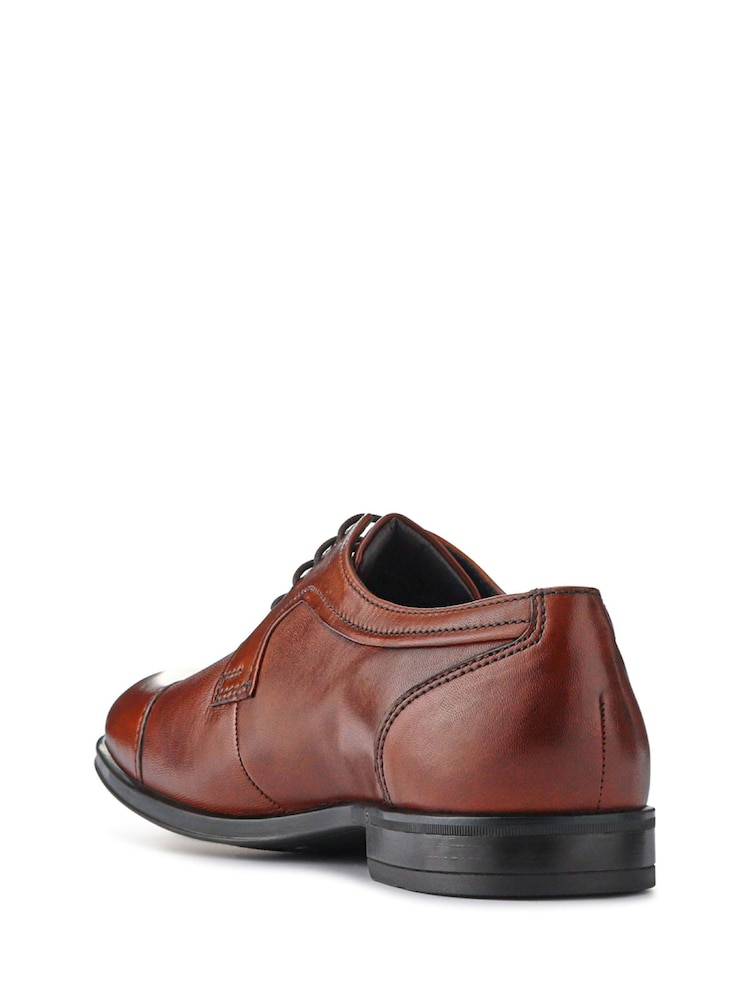 Buy Pavers Brown Gents Lace-Up Smart Leather Shoes from Next