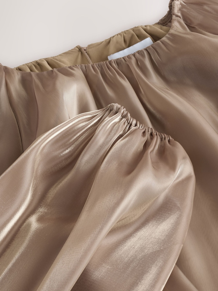 Champagne Gold Organza Volume Long Sleeve Blouse - Image 8 of 8 Champagne Gold Organza Volume Long Sleeve Blouse - Image 8 of 8