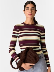 Whistles Multi Stripe Crew Neck Knit Jumper - Imagem 3 de 6