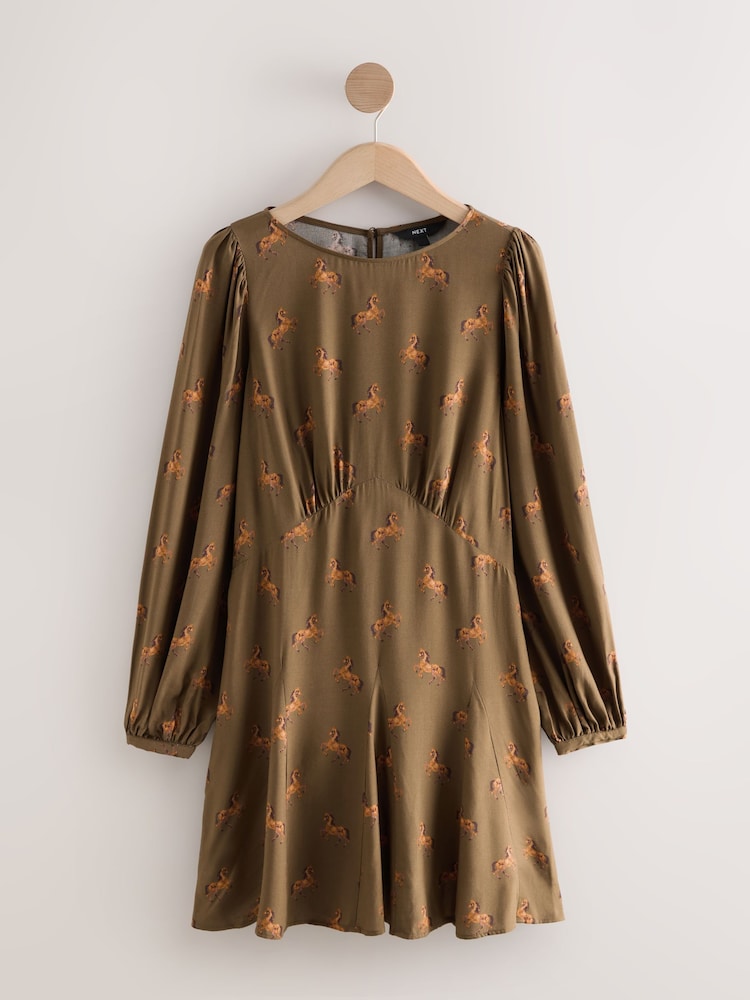 Buy Brown Horse Print Mini Long Sleeve A-Line Seam Detail Dress from Next USA Buy Brown Horse Print Mini Long Sleeve A-Line Seam Detail Dress from Next USA