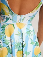 White/Blue Stripe Lemon Print Shaping Tummy Control Skirted Swim Dress - Image 6 of 9