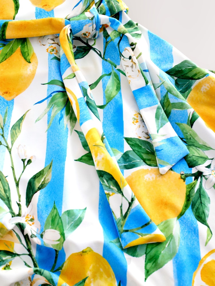 Buy White/Blue Stripe Lemon Print Shaping Tummy Control Skirted Swim Dress from Next USA Buy White/Blue Stripe Lemon Print Shaping Tummy Control Skirted Swim Dress from Next USA