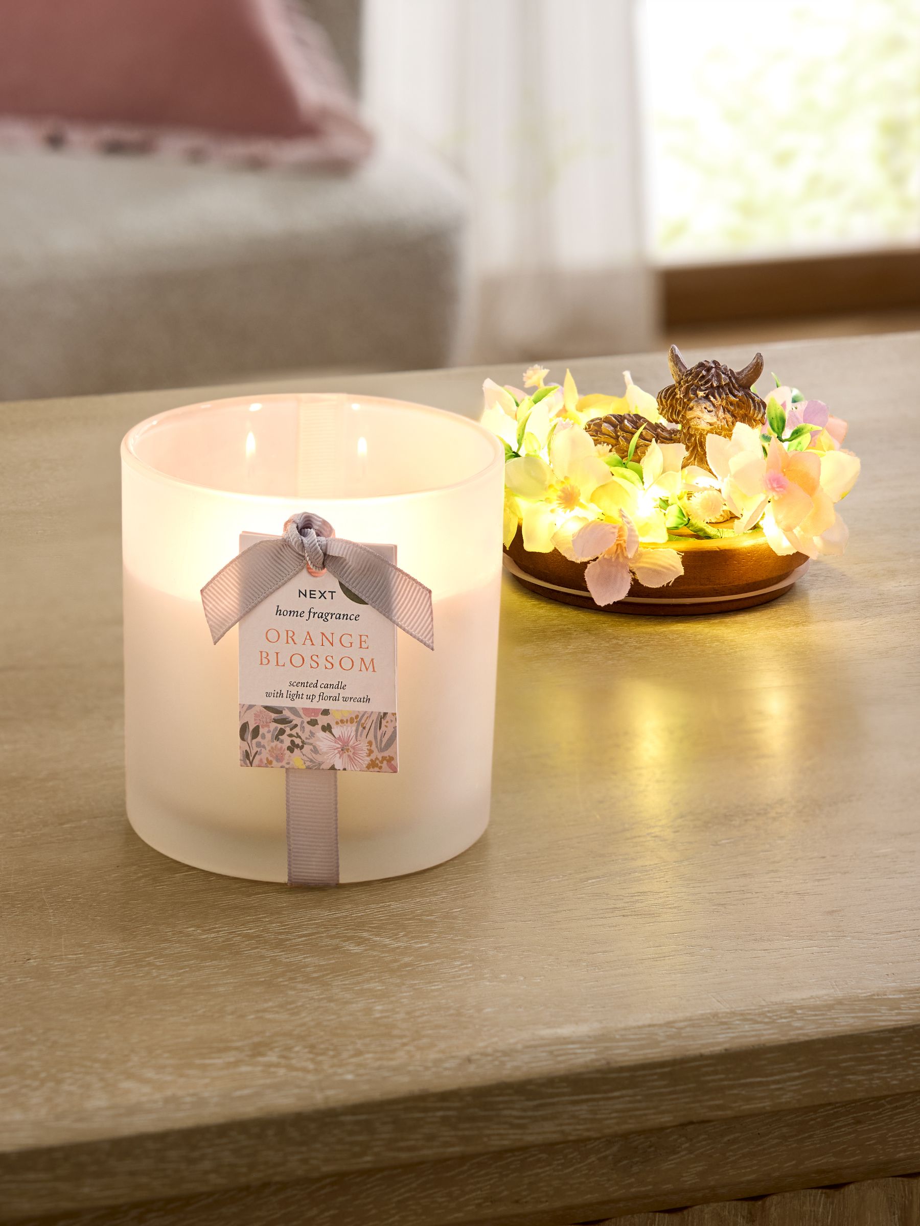 Buy Orange Blossom Floral Hamish The Highland Cow 1 Wick Light Up