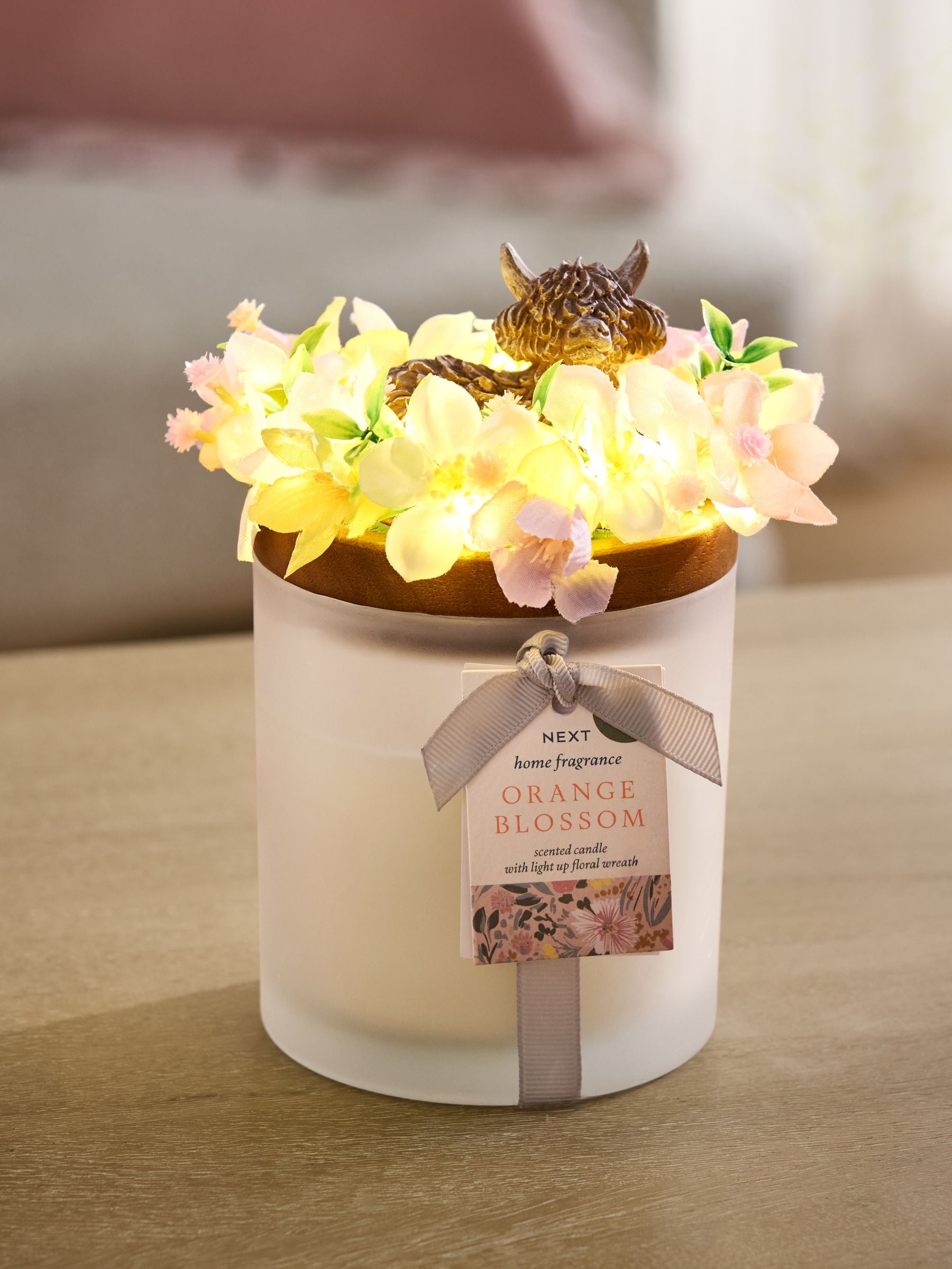 Buy Orange Blossom Floral Hamish The Highland Cow 1 Wick Light Up