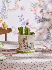 Cath Kidston Cream Spring Birds Plant Pot With Tray - Image 1 of 1