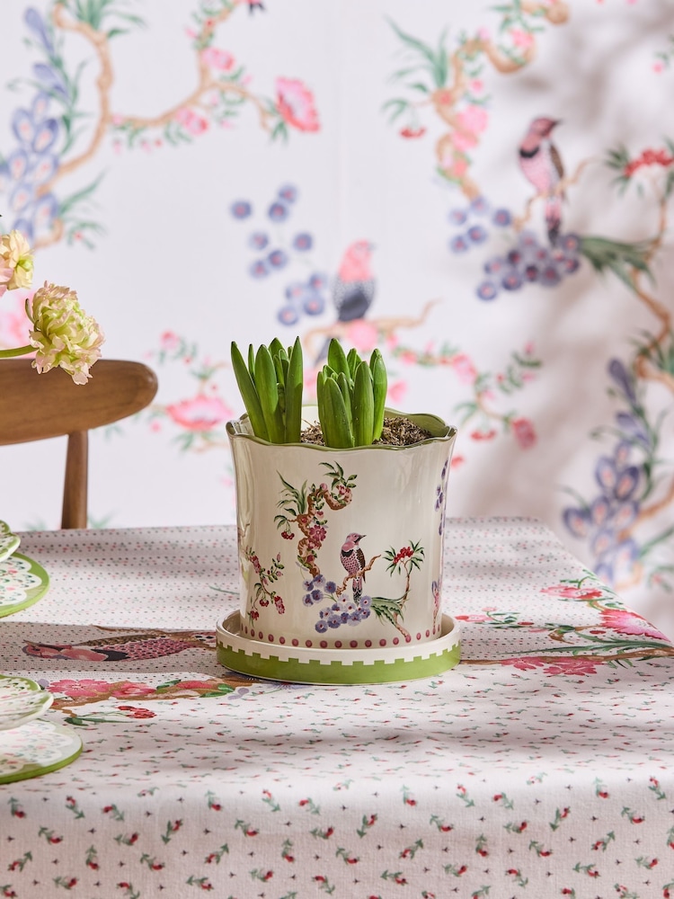 Cath Kidston Cream Spring Birds Plant Pot With Tray - Image 1 of 1 Cath Kidston Cream Spring Birds Plant Pot With Tray - Image 1 of 1