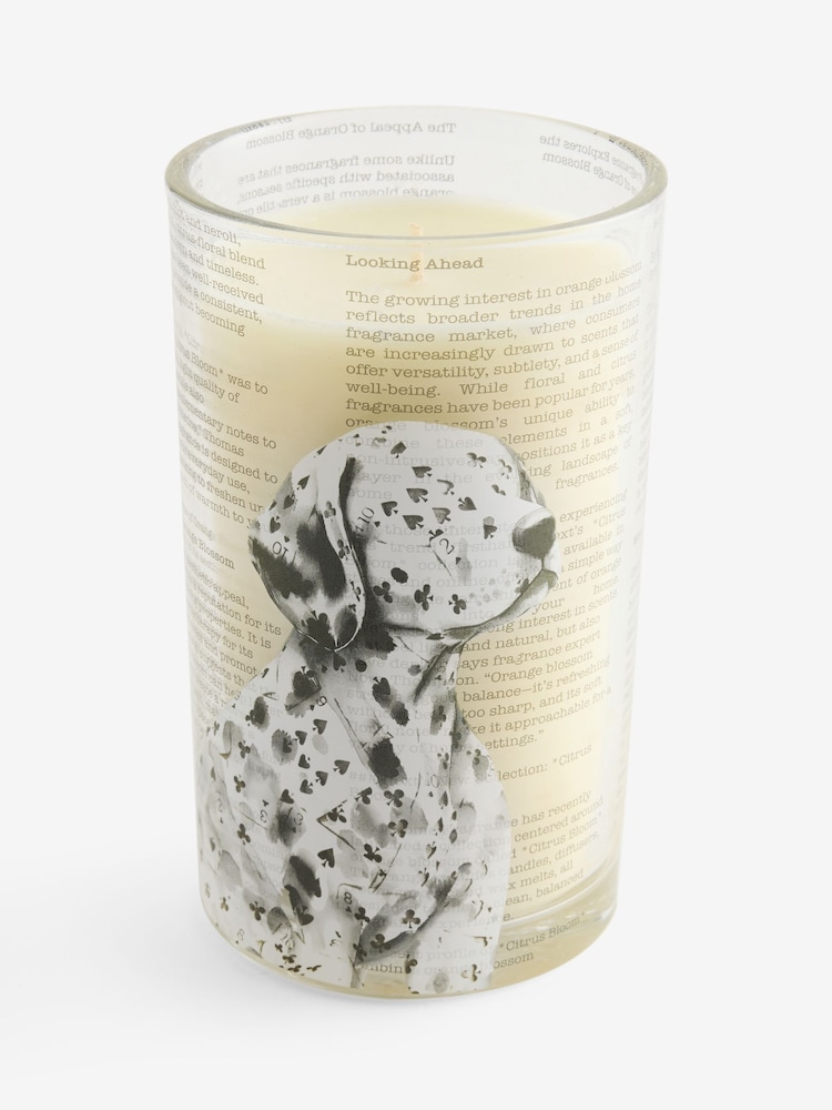 Multi Ace The Dalmatian Dog Orange Blossom Pillar Candle - Image 4 of 4
