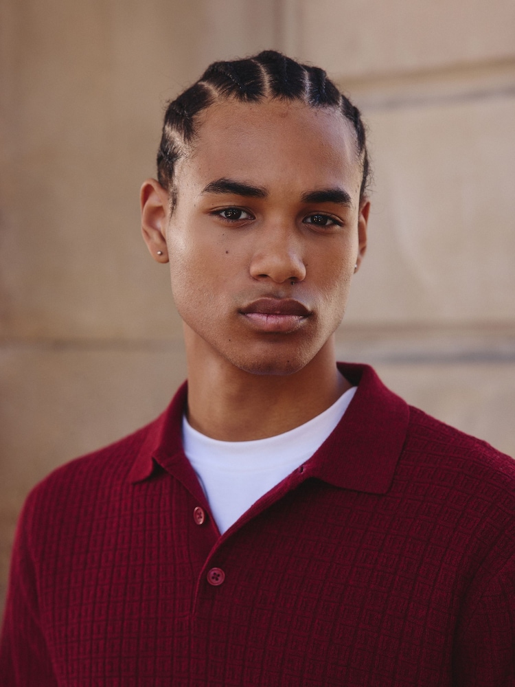 Red Regular Fit Textured Essential Long Sleeve Knitted Polo Shirt - Image 4 of 4
