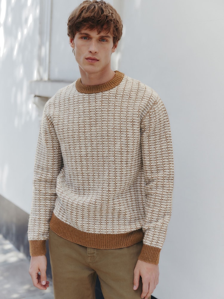 Brown Regular Fit Geometric Textured Crew Neck Jumper with Wool - Image 1 of 7