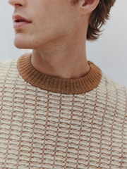 Brown Regular Fit Geometric Textured Crew Neck Jumper with Wool - Image 4 of 7