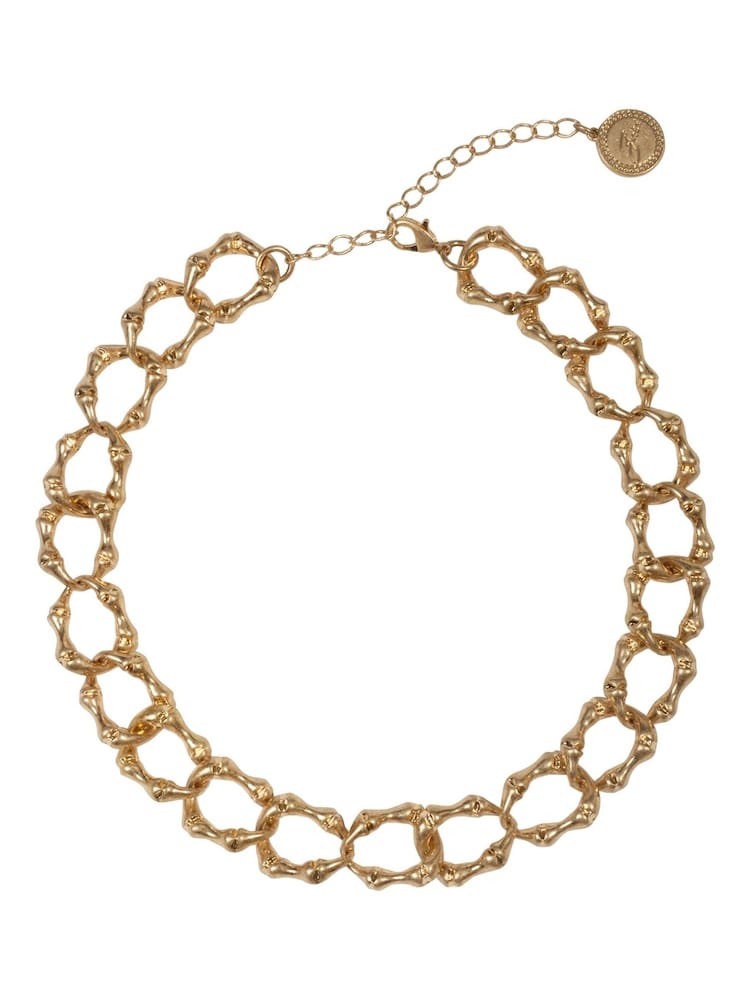 Bibi Bijoux Gold Tone Bamboo Chain Necklace - Image 1 of 4