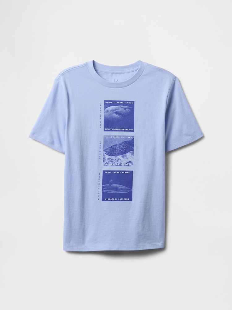 Gap Blue Graphic T-Shirt (4-13yrs) - Image 1 of 2