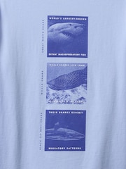 Gap Blue Graphic T-Shirt (4-13yrs) - Image 2 of 2