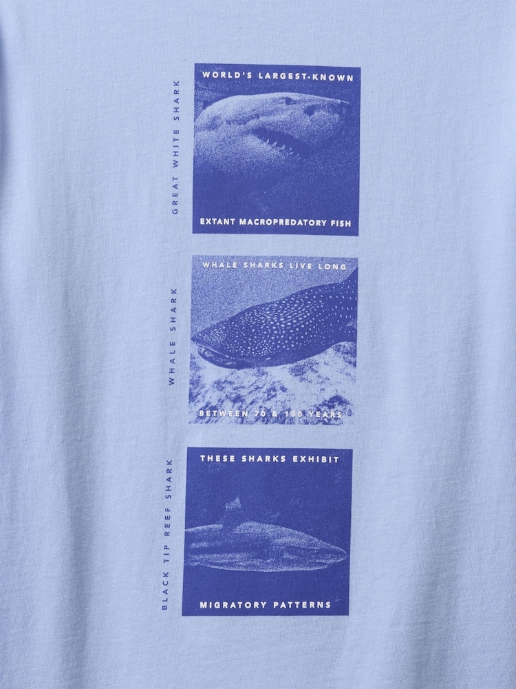 Gap Blue Graphic T-Shirt (4-13yrs) - Image 2 of 2