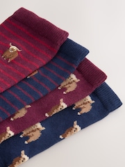 Berry Hamish the Highland Cow - Pacote 4 de meias de tornozelo - Imagem 6 de 7