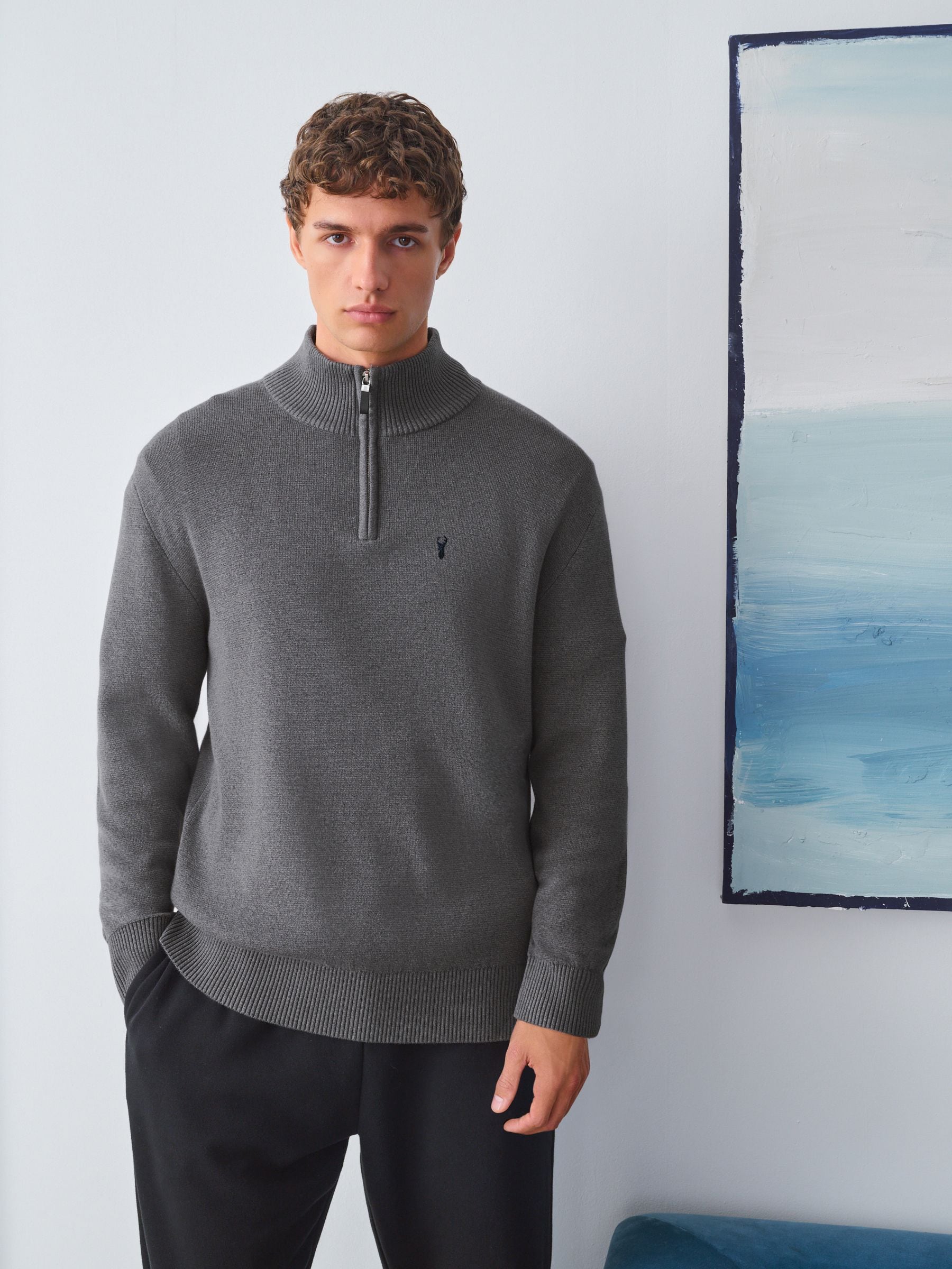 Buy Charcoal Grey Stag Logo Quarter Zip Jumper from Next Romania