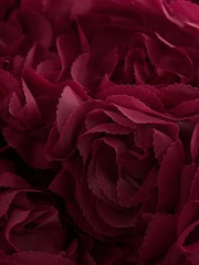 Rojo baya - Vestido de vestir con motivos florales en 3D (3-16 años) - Imagen 10 de 11