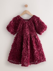 Rojo baya - Vestido de vestir con motivos florales en 3D (3-16 años) - Imagen 8 de 11