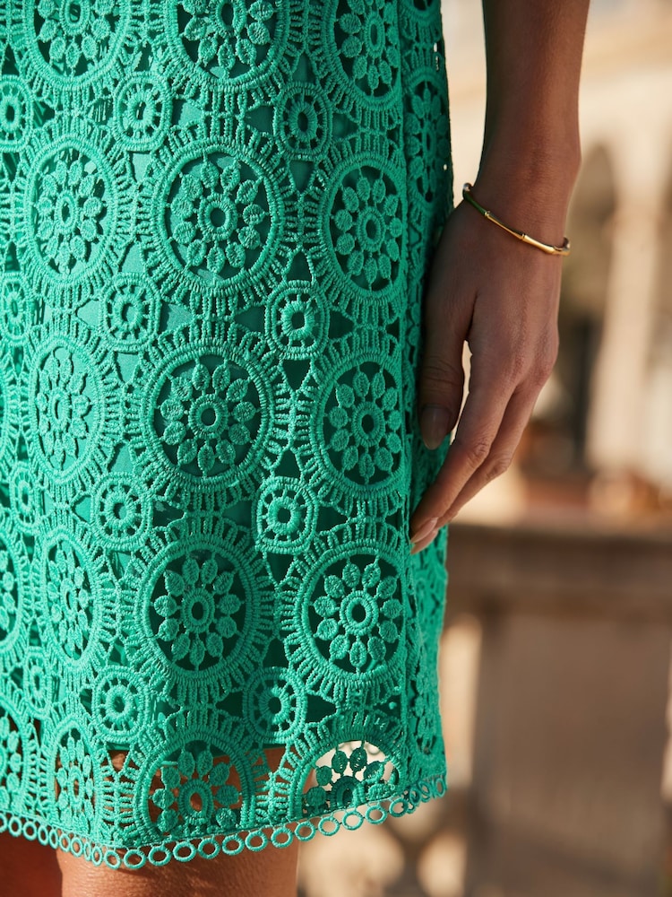 Buy Sosandar Green Ruffle Sleeve Lace Shift Dress from Next Netherlands