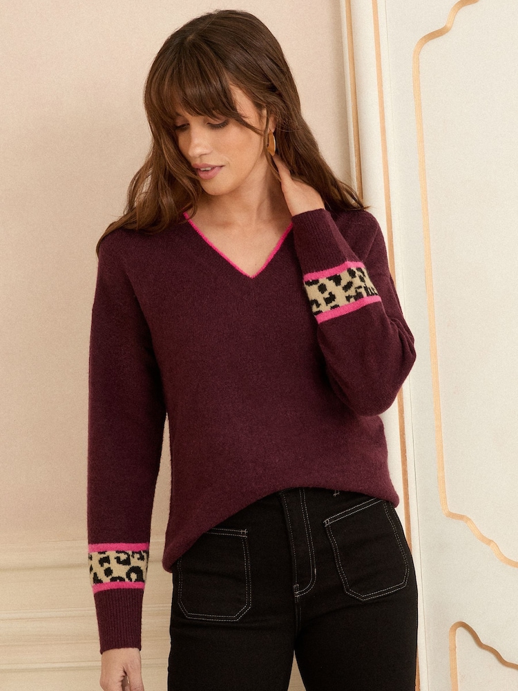 Love & Roses Berry Animal Stripe Print V-Neck Cosy Knit Jumper - Image 1 of 4