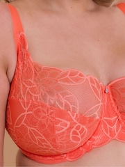 Curvy Kate Lovelace Side Support Balcony Bra - Изображение 5 из 6