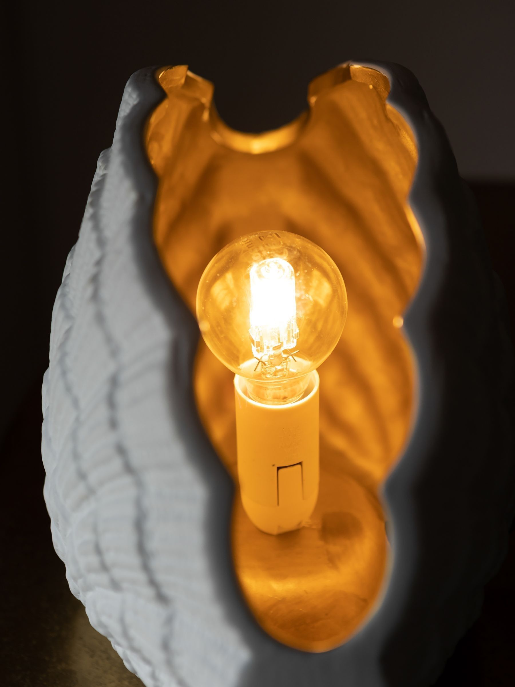 Rockett St George Gold Clam Shell Table Lamp | Laura Ashley