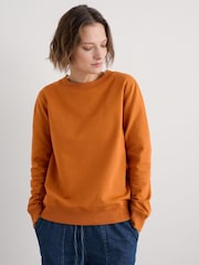 أصفر - Seasalt Cornwall Mappa Brushed Sweatshirt - صورة 1 من 5