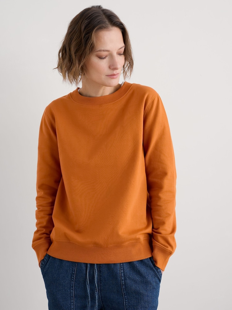أصفر - Seasalt Cornwall Mappa Brushed Sweatshirt - صورة 1 من 5