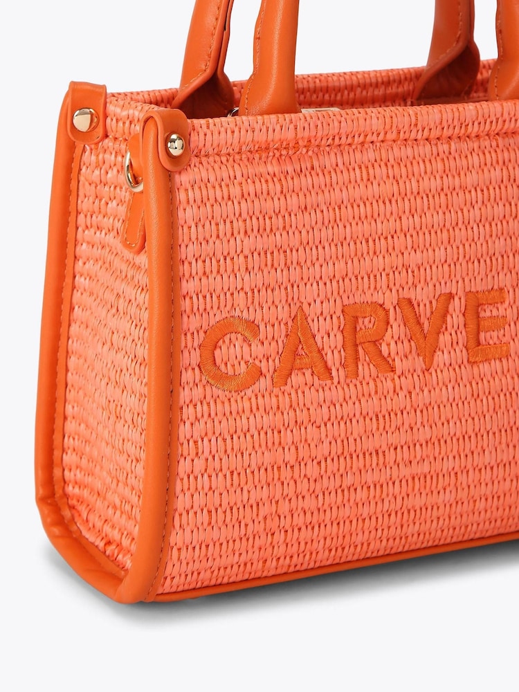 Carvela Pink Sorrento Micro Stripe 100% Cotton Bag - Image 4 of 4