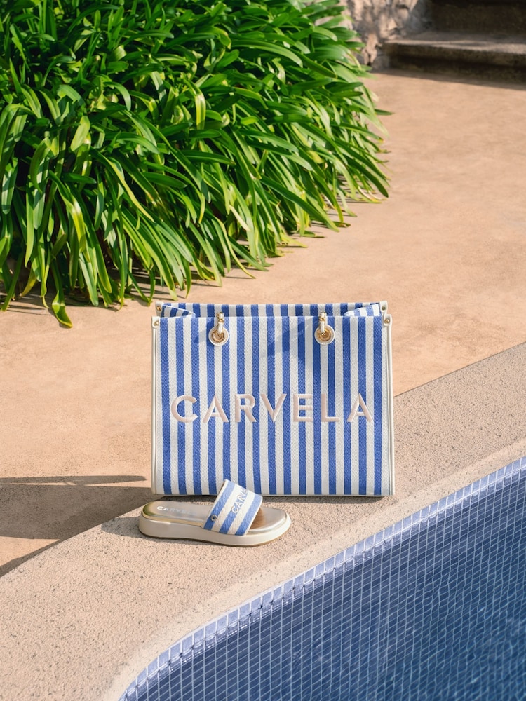Blauw - Carvela Sorrento Stripe Nude Shopper Bag - Image 2 of 7
