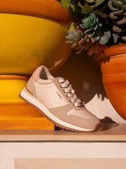 Carvela Florencia Brown Trainers - Image 1 of 5