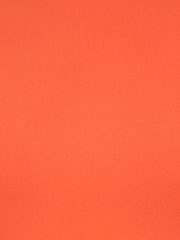 Adrianna Papell Orange Knit Crepe Tie Waist Sheath Dress - Image 6 of 6