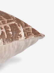 Dark Natural 59 x 59cm Velvet Abstract Lustre Cushion - Image 5 of 5