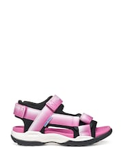 Geox Girls Pink J Borealis Sandals - Image 1 of 4