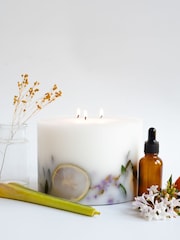 Lower Lodge Candles Lemongrass and Verbena Botanical 3 Wick Candle - Image 1 of 3