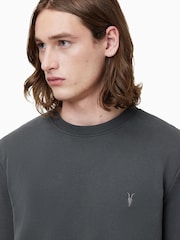 AllSaints Carter Grey Raven 100% Organic Cotton Crew Sweater - Image 5 of 7