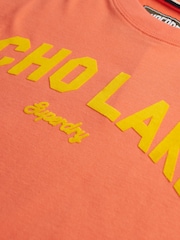 Camiseta Superdry Outdoor Location Box Loose - Imagem 2 de 2