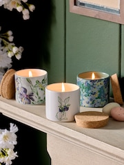 White Jasmine Easter Set of 3 Candle - Image 1 of 4