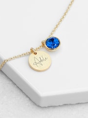 Personalised Birthstone Crystal and Disc Necklace by Treat Republic - Image 1 of 3