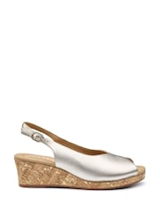 Hotter Gold Regular Fit Atlantic Buckle Sandals - Image 1 of 4