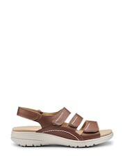 Hotter Brown Regular Fit Abigail Touch-Fastening Sandals - Image 1 of 4