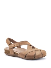 Hotter Brown Extra Wide Fit Catskill II Touch-Fastening Sandals - Image 3 of 5