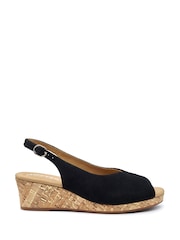 Hotter Black Regular Fit Atlantic Buckle Sandals - Image 1 of 4