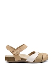 Hotter Brown Wide Fit Denali Touch-Fastening Sandals - Image 1 of 4