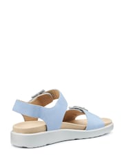 Hotter Blue Regular Fit Corfu Buckle Sandals - Image 3 of 4