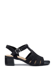 Hotter Black Regular Fit Portofino II Buckle Sandals - Image 1 of 4