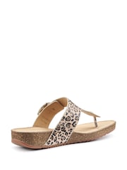 Hotter Animal Print Regular Fit Resort Slip-On/Buckle Sandals - Image 3 of 4