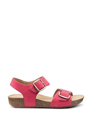 Hotter Pink Regular Fit Tourist II Buckle Sandals - Image 1 of 4