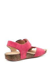 Hotter Pink Regular Fit Tourist II Buckle Sandals - Image 3 of 4